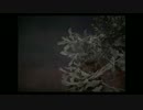 【二人実況】怪奇、モダンホラー狂想曲“SIREN”　Part3