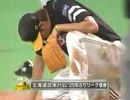 アンインストール　ぼくらのプロ野球トラウマゲーム(12球団＋α)