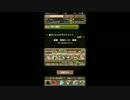 【パズドラ】裏チャレンジダンジョン！　Lv11