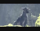 感情のままに~人喰いの大鷲トリコ~実況　Part2