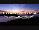 【EDM】Tropical House Music BEST SONG 【トロピカルハウス】