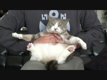 【モアクリ】 いろいろモアクリ 3