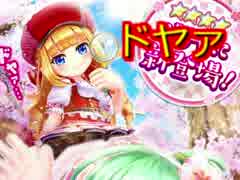 白猫テニス　リリーが欲しいから11連ガチャ！！　ドヤァ・・・・
