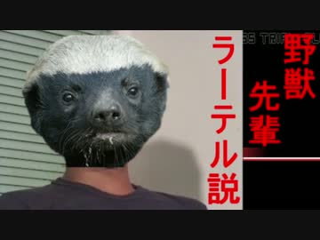 野獣先輩ラーテル説.dngnrnp