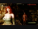 【実況プレイ】Skyrim-追いかけて、雪國【vol.014-1】