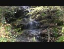 いの町 長沢-