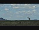 【けものフレンズ】「ようこそジャパリパークへ」アコギ　ver.くーふぇ