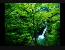 【音楽療法】水の癒し＆ヒーリングサウンド/自然治癒力UP【1/fゆらぎ】