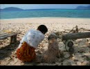 【癒し系動画】俺今から沖縄に行ってくるわ【島唄】