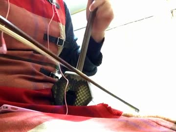 【けものフレンズ】ようこそジャパリパークへ二胡で弾いてみた