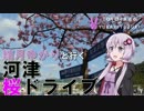 【86×結月ゆかり車載】結月ゆかりと行く河津桜ドライブ