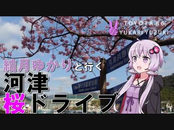 【86×結月ゆかり車載】結月ゆかりと行く河津桜ドライブ