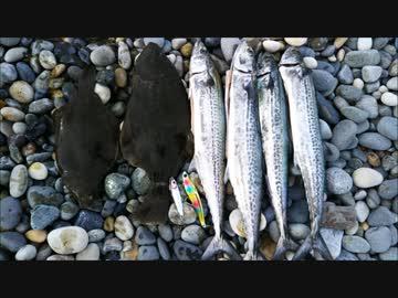 人気の ヒスイ海岸 動画 6本 ニコニコ動画