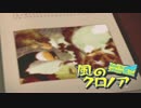 【わっふー実況】風のクロノア-door to phantomile-（最終回）