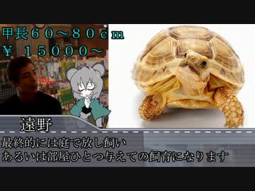 ハチュカス☆☆☆☆☆☆☆