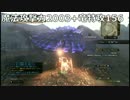 【DDON】Lv75タラスクに対するセージの魔攻上限【雑検証】