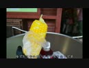 【バイク】ホーネット250で日本一周part14【北海道】