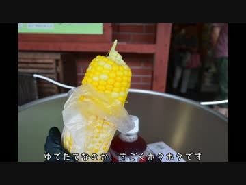 【バイク】ホーネット250で日本一周part14【北海道】