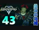 【KH2】光の心と闇の抜け殻【キングダムハーツⅡ】#43【KINGDOM HEARTS Ⅱ】