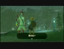 【プレイ動画】ゼルダの伝説 ブレス オブ ザ ワイルド Switch版【part１１】