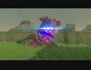【高画質プレイ動画】ゼルダの伝説 ブレスオブザワイルド Part3