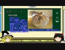 【タクティクスオウガ】ノーダメージ+α:20【甲斐性のねぇリーダーだぜ】