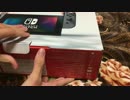 【Nintendo switch】開封してみたをやりたかった。