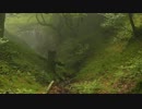 【睡眠誘導音楽】精神安定、寝る前、リラックス、瞑想森の音