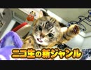 【生CG劇場】猫のテトラちゃん登場！【ﾊﾞｰﾁｬﾙ生主】