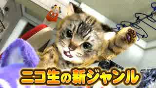 【生CG劇場】猫のテトラちゃん登場！【ﾊﾞｰﾁｬﾙ生主】