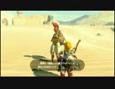 【プレイ動画】ゼルダの伝説 ブレス オブ ザ ワイルド Switch版【part３０】