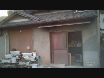 【復活編】 奇行紀行 【大人の世界はこの地にもある】