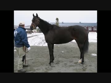 シュシュブリーズ動画のQ＆Aをまとめてみた