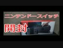 スイッチを予約せず絶望した男が結局買えてソフトを舐める動画