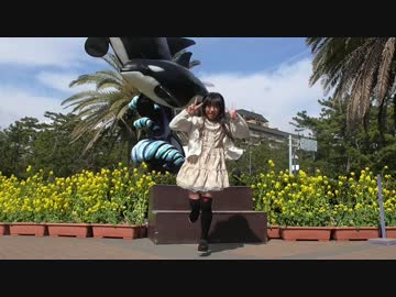 【みー】 チット・チャット・マーチ！ 踊ってみた