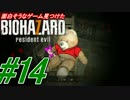 【実況】面白そうなゲーム見つけた【バイオ7グロ】(14)