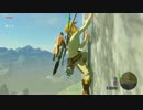 【まったり平原ライフ】ゼルダの伝説ブレスオブザワイルド05【実況】