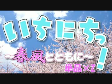 いちにちっ！～春風とともに～ 単品×2