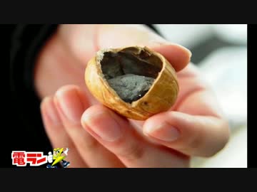 【衝撃】ありえない不良品５選