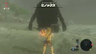 【ゼルダの伝説ブレスオブザワイルド】サイハテノ島の１日（倍速）