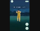 pokemon go and ピコ太郎