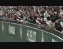 【検証用】 山田哲人選手のホームランボール