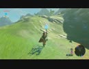 【声なし】音と景色を楽しむ ブレス オブ ザ ワイルド #26【環境音】