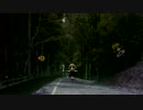 森のルーミアにご用心
