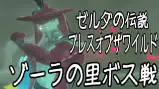 【BotW】こりゃ神ゲーですよ＠ヴァ・ルッタ戦【ゼルダの伝説ブレスオブ】