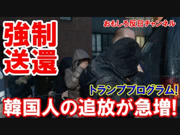 【韓国人の追放が急増】 軽犯罪でも強制送還！不法滞在だから当然だ！