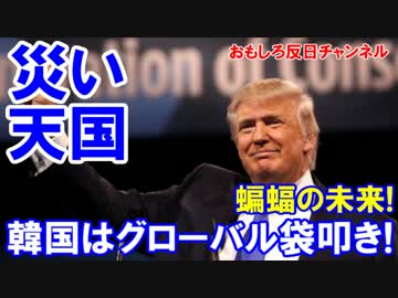 【韓国はグローバル袋だたき】 トランプ大統領の政策に恐怖！