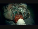 (海外版実況)ババァの股間にぶち込むRESIDENT EVIL 7 #7 [高画質化]全16Part