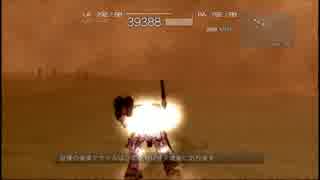 【初見】アラサーリンクス奮闘記　出勤5日目【AC4】