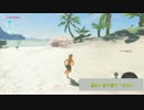 「ゼルダの伝説ブレスオブザワイルド」世界を救う気がないリンクpart3